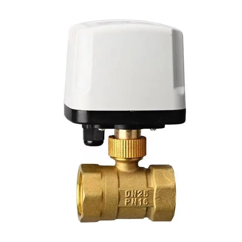 Electric Ball Valve Brass Ip65 220V/12V/24V 3Wire 2Control Torque Metal Motor Dn20 24Vac 9339159705865