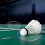 2 Pcs Badminton Schläger Ferrolegierung Skidproof 11