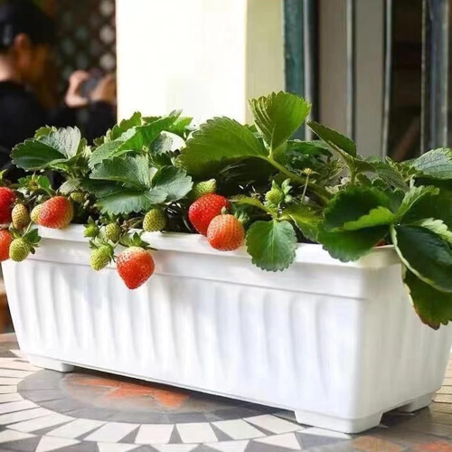Window planter box Vegetable box 6 pieces, weatherproof, builtin drainage, white 2