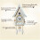 Quartz Cuckoo Clock, Cuckoo Clock, Cuckulino, Wall Clock, Solid Wood Clock Home Decor Digital Wall Clock Pendulum Clock 4