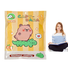 Girls Scrapbooking Stationery Set Cartoon Capybara for Nursery Students