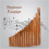 Panpipe 15 Tubes Natural Bamboo Wind Instrument G Key 2