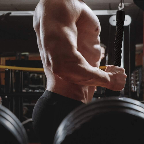 Λαβή Lat Pulldown με περιστροφή, εξάρτημα πιέσεων τρικέφαλων 15,5 ιντσών, εμπνευσμένο 1