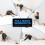 Δίσκοι γυμναστικής για Pilates, Ρυθμιστές άσκησης για την εμπλοκή των μυών του 3