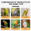 Traction Leash With Automatic Flying Cord For Safe Bird Handling And Comfortable Harness 3