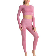Women Sporty Crop Top Legging Set Flattering Fit Four Way Stretch Lightweight Fabric Seamless Design Quick Dry Compression Fit