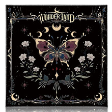 Tarot card cloth, altar cloth, butterfly, tarot card mat, velvet, tarot reading cloth (23.5 x 59.7 cm)