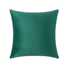 Cozy Soft Material Pillow Covers 60x60cm Turquoise, Soft and Comfy Velvet Throw Cushion Cases, Delicate Craftsmanship with Hidden Zipper, Solid Color