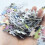 1000 stücke Puzzles Landschaft Montage Bild 10
