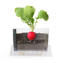 Transparent Plant Growth Observation Box Seed Germination Machine Seedling Bed Seedling Tray Easy To Use Model Size Material