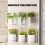 Auto Watering Plastic Wall Planter Basket Watering Plant-Clear 3