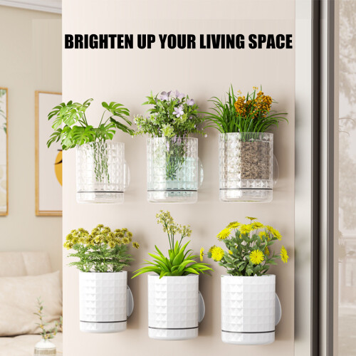 Auto Watering Plastic Wall Planter Basket Watering Plant-Clear 2
