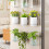 Auto Watering Plastic Wall Planter Basket Watering Plant-Clear 7