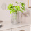 Auto Watering Plastic Wall Planter Basket Watering Plant-Clear 5