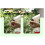 Electric Watering Can USB Automatic Plant Sprayer-Longterm 4