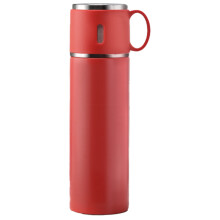 Stilvolle Edelstahl-Trinkflasche, vakuumisoliert, hält Getränke heiß oder kalt, auslaufsicherer Deckel für sicheren Transport, ideal zum Wandern