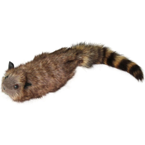 Plush Raccoon Magic Tricks Props for Magic Beginners Funny Street Performer 1