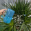 2L Garden Watering Can with Ergonomic Handle and Long-grey 7