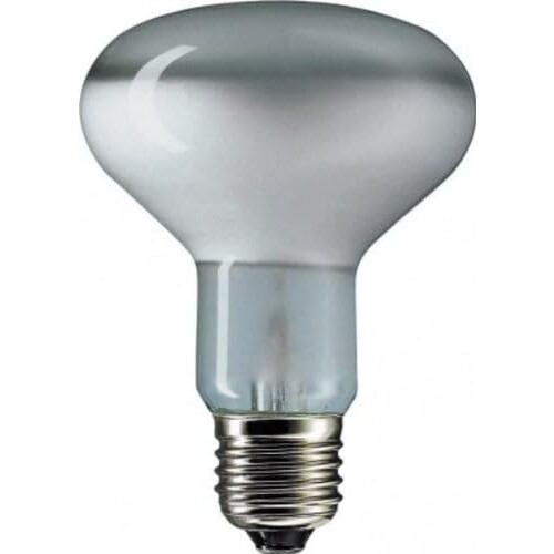 Reflector Light Bulb R80 100 Watt Concentra 50C 2