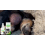Haftpflegespray für Haustiere, beruhigend & mild 7