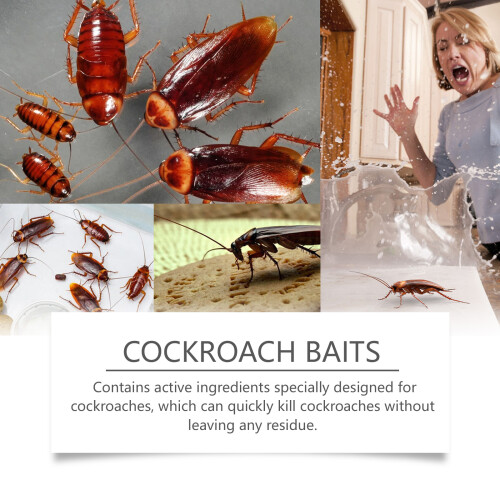 Effective Cockroach Bait Paste & Glue for Kitchen 2