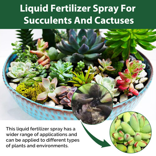 Liquid Fertilizer Spray for Succulents & Cacti 2
