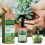 Liquid Fertilizer Spray for Succulents & Cacti 8