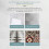 Stone Crystal Plating Bathroom Floor Tile Clean 4