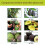 Flüssigdünger-Spray 3-1-2 für Avocado-Baum 10