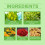 Herbal Belly Button Patch Body Figure 5