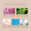 Concealer Brightening Cream, Light Texture for Natural Concealment 9