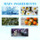 Ocean Fragrance Mist, Lasting Fresh for Couples 9