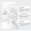 Firming Collagen Mask Box Set Moisturizing Hydrating 9
