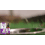 Pet Cat Vitamin Drops Daily Care 7