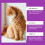 Pet Cat Vitamin Drops Daily Care 12