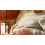 Bee Venom Nasal Stick - Body Line Highlight, Daily 7