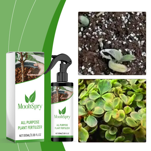 Pflanzendünger-Spray für Blumen & Sukkulenten 1