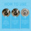 Drain Clog Remover for Kitchen & Toilet Pipes 6