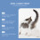 Cat Anal Gland Odor Remover Spray 4
