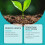 Hydroponic Liquid Fertilizer for Lawn & Leaf Growth 14
