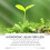 Hydroponic Liquid Fertilizer for Lawn & Leaf Growth 3