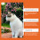 Cat Scratch & Chew Protection Spray with Mild Ingredients 10