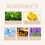 Herbal Skin Cream for Clear & Smooth Moisturizing 5