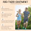 Joint Care Cream for Shoulder, Neck, Back & Lumbar 9