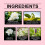 Elegenter natürlicher langanhaltender Duft-Spray 5