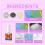 Dental Beauty Kit Shine Smile Drill 5