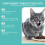 Katzen-Probiotika für Darmgesundheit 3
