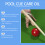 Billiard Cue Polishing Oil 9