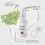 Natural Breath Spray - Mild & Long-Lasting 11