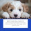 Dog Joint Health Supplement 13